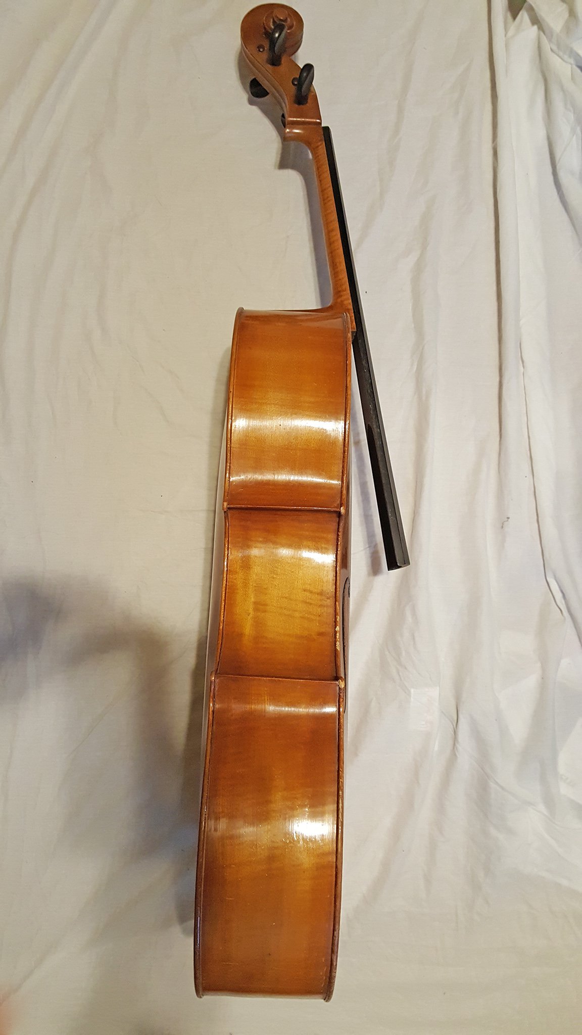 Old Orange Cello ID? - The Pegbox - Maestronet Forums