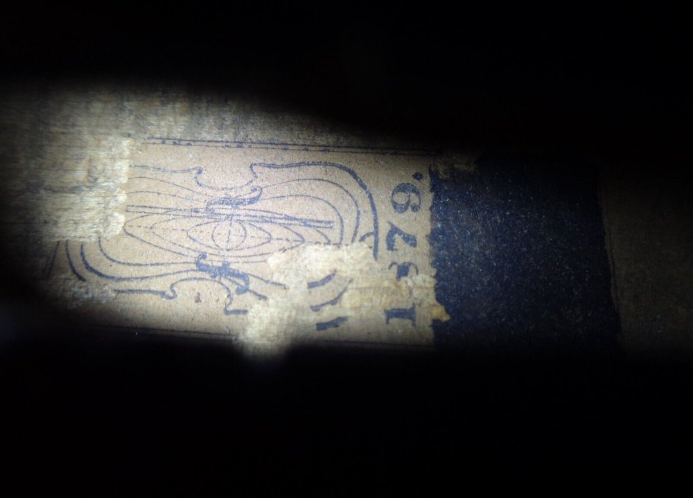 Maker's mark of a bell with an S inside on the button of an old violin ...
