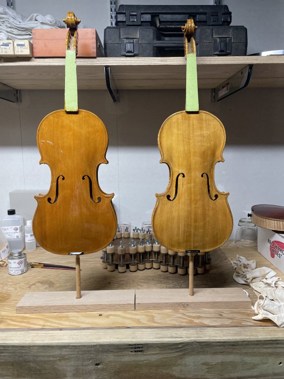 My first two violins from my bench finally in the Varnish stage ...